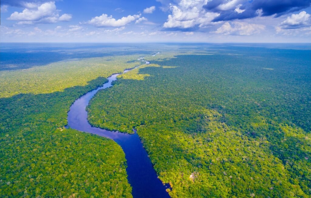 Aerial view of a river crossing the Amazon rainforest