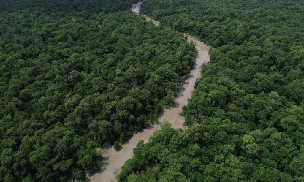 Aerial view of dense Amazon forest crossed by a river